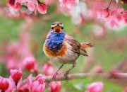 July 17 –  Your Sunday Night&nbsp;Update