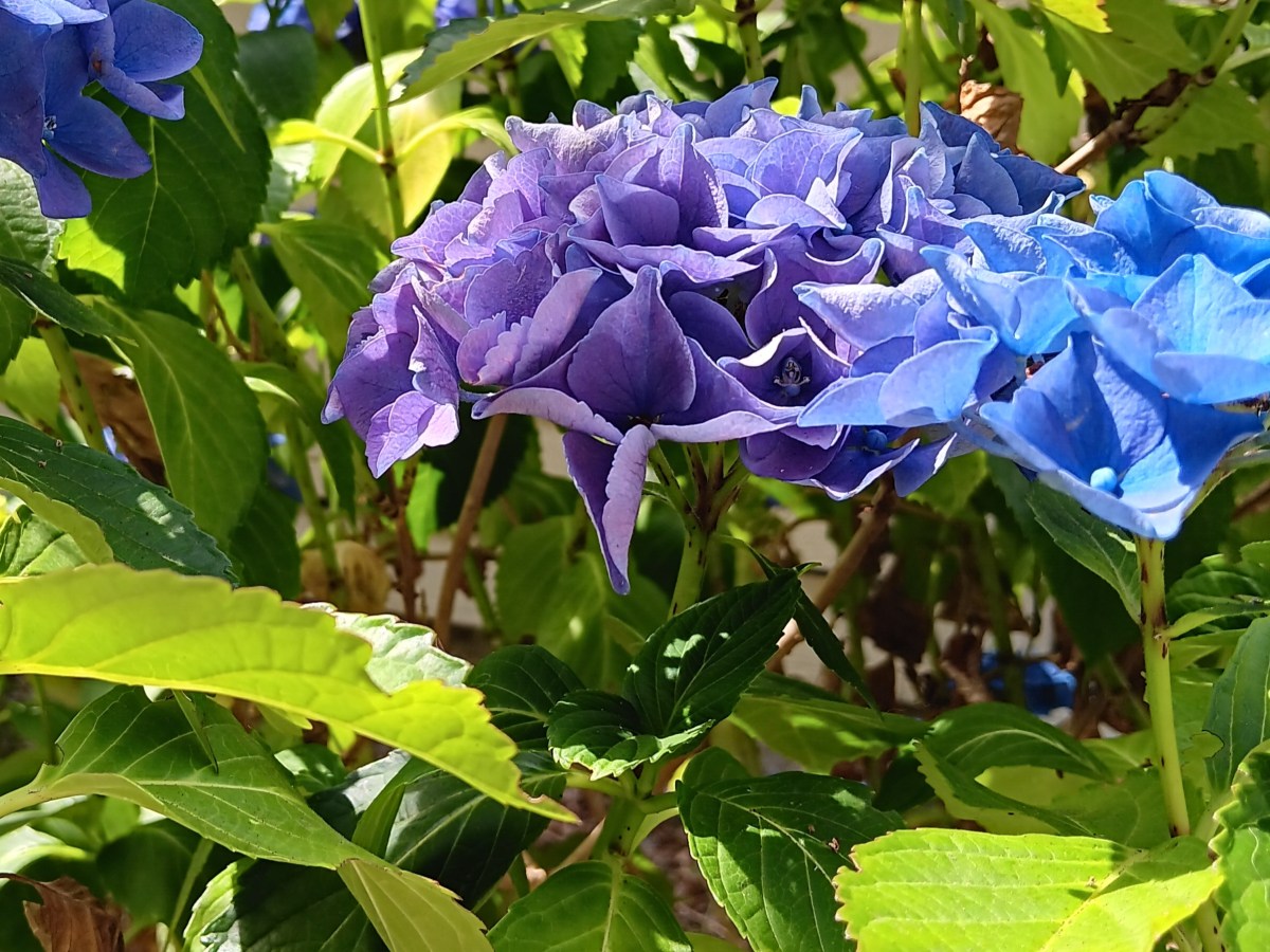 August 4 – Your Start of Week&nbsp;Update.