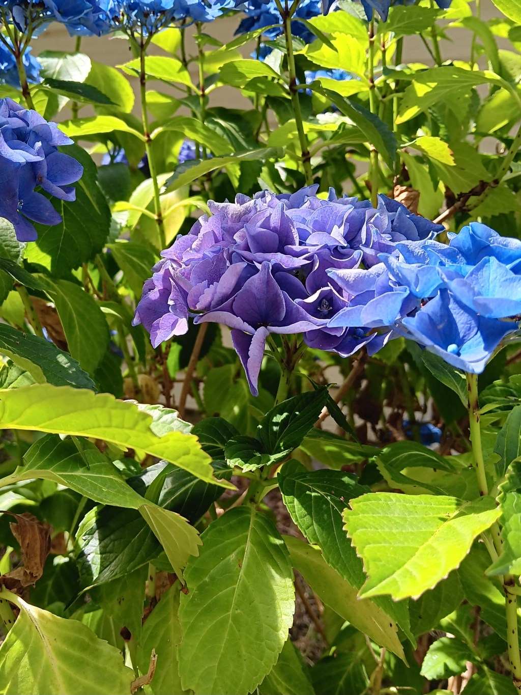 August 4 – Your Start of Week&nbsp;Update.