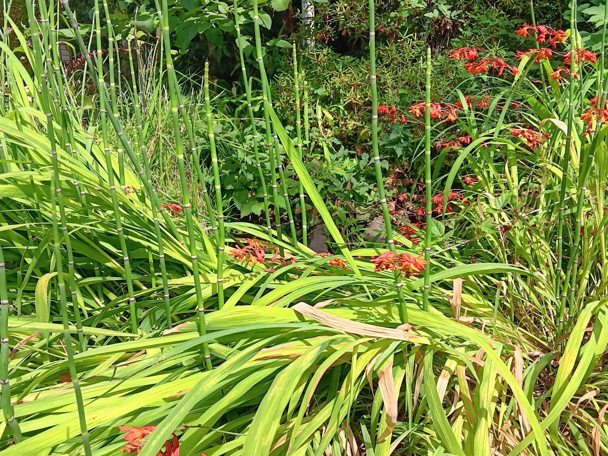 August 1 – Your weekend&nbsp;Update.